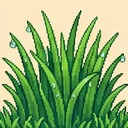 绿草