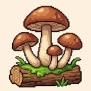 蘑菇
