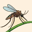 蚊子