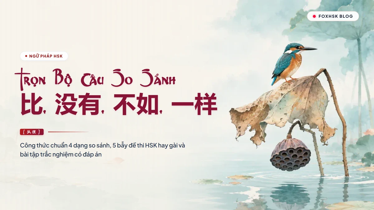 Trọn Bộ Câu So Sánh Trong Tiếng Trung: 比, 没有, 不如, 一样 & Bẫy Đề Thi HSK | FoxHSK - FoxHSK