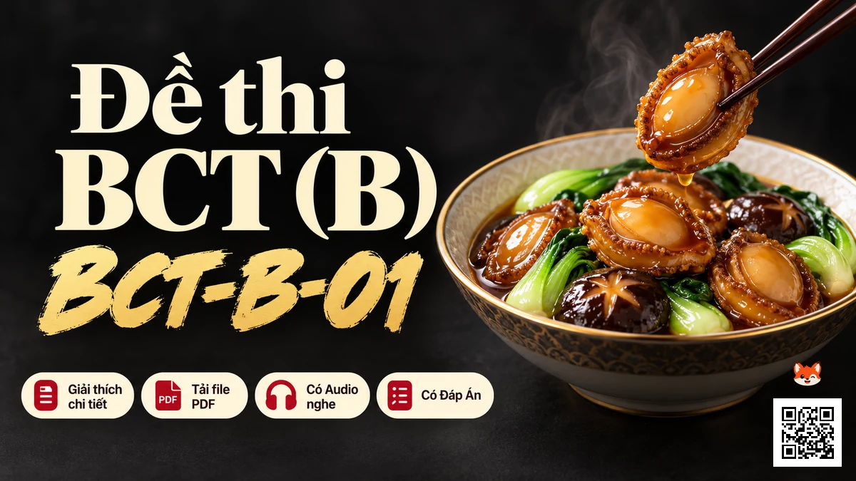 Đề Thi Tiếng Trung Thương Mại BCT (B) Mã BCT-B-01 Kèm PDF, Audio & Đáp Án Chuẩn Hán Biện - FoxHSK