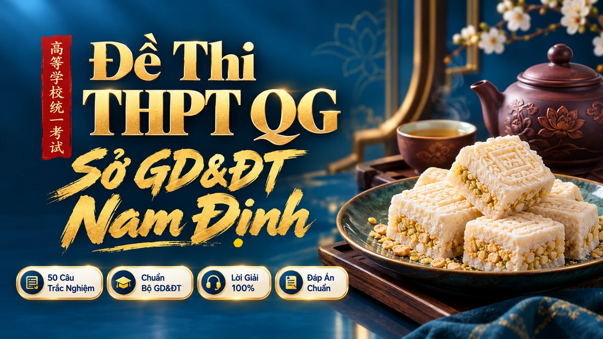 Đề Thi Thử Tốt Nghiệp THPT Tiếng Trung — Sở GD&ĐT Nam Định - FoxHSK