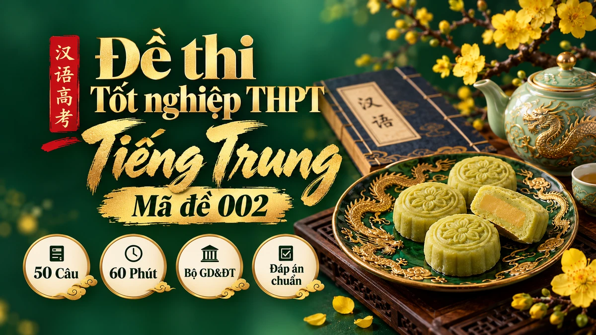 Đề Thi Tốt Nghiệp THPT Tiếng Trung Chuẩn Hóa Mã Đề 002 (Có Đáp Án & Phòng Thi Thử 100 Điểm) - FoxHSK
