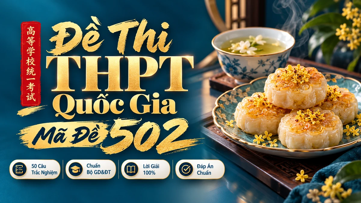Đề Thi Chính Thức Tốt Nghiệp THPT Tiếng Trung — Mã Đề 502 - FoxHSK