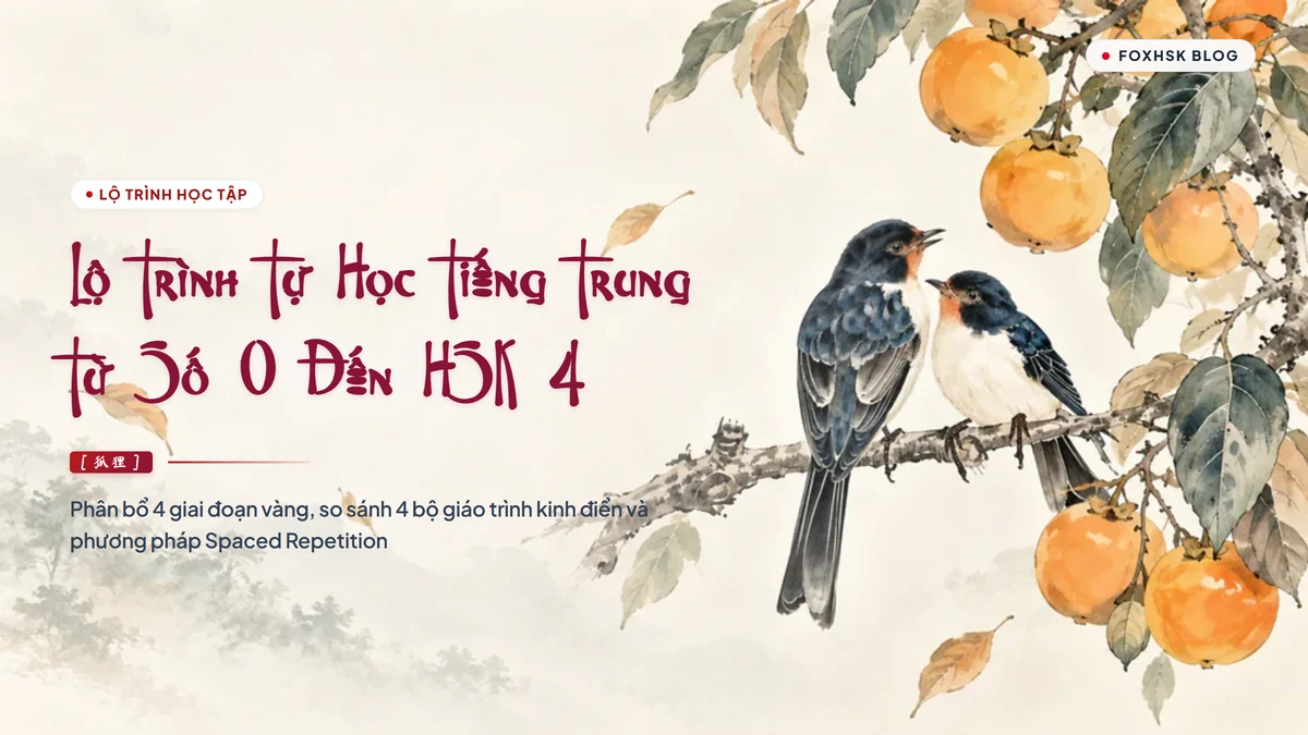Lộ Trình Tự Học Tiếng Trung Cho Người Mới Bắt Đầu Từ Con Số 0 Đến HSK 4 Toàn Diện Nhất - FoxHSK