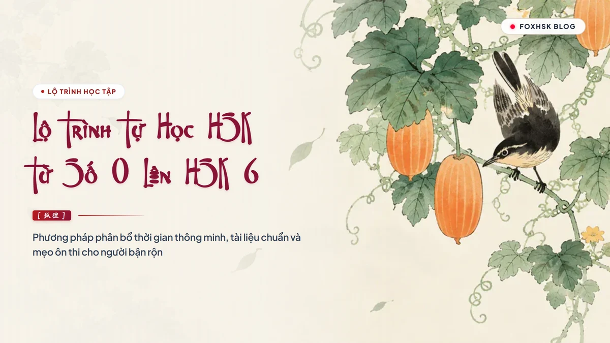 Lộ Trình Tự Học HSK 3.0 Từ 0 Lên HSK 6 Cho Người Bận Rộn | FoxHSK - FoxHSK