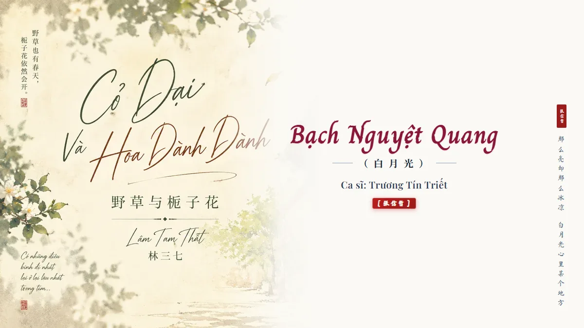 Lời Bài Hát Bạch Nguyệt Quang (白月光) – Trương Tín Triết (Pinyin + Lời Dịch Chuẩn) - FoxHSK