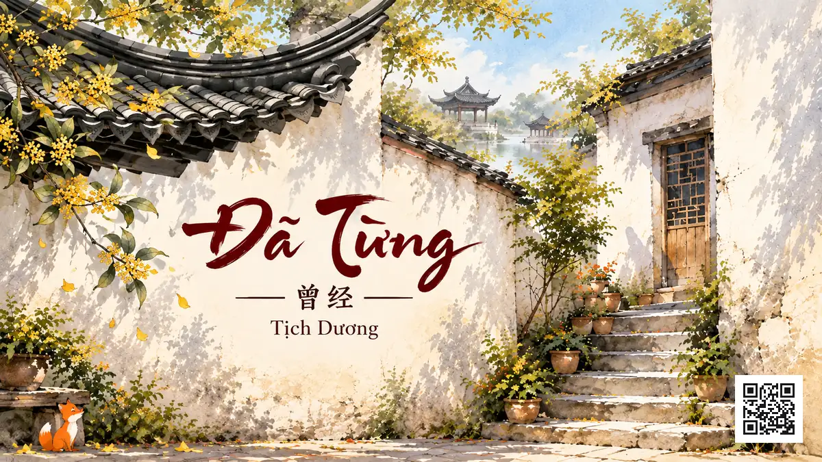 Lời Bài Hát Đã Từng (曾经) – Tịch Dương / XiYang (Pinyin + Lời Dịch Chuẩn) - FoxHSK