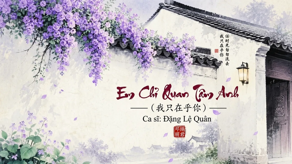 Lời Bài Hát Em Chỉ Quan Tâm Anh (我只在乎你) – Đặng Lệ Quân (Pinyin + Lời Dịch Chuẩn) - FoxHSK