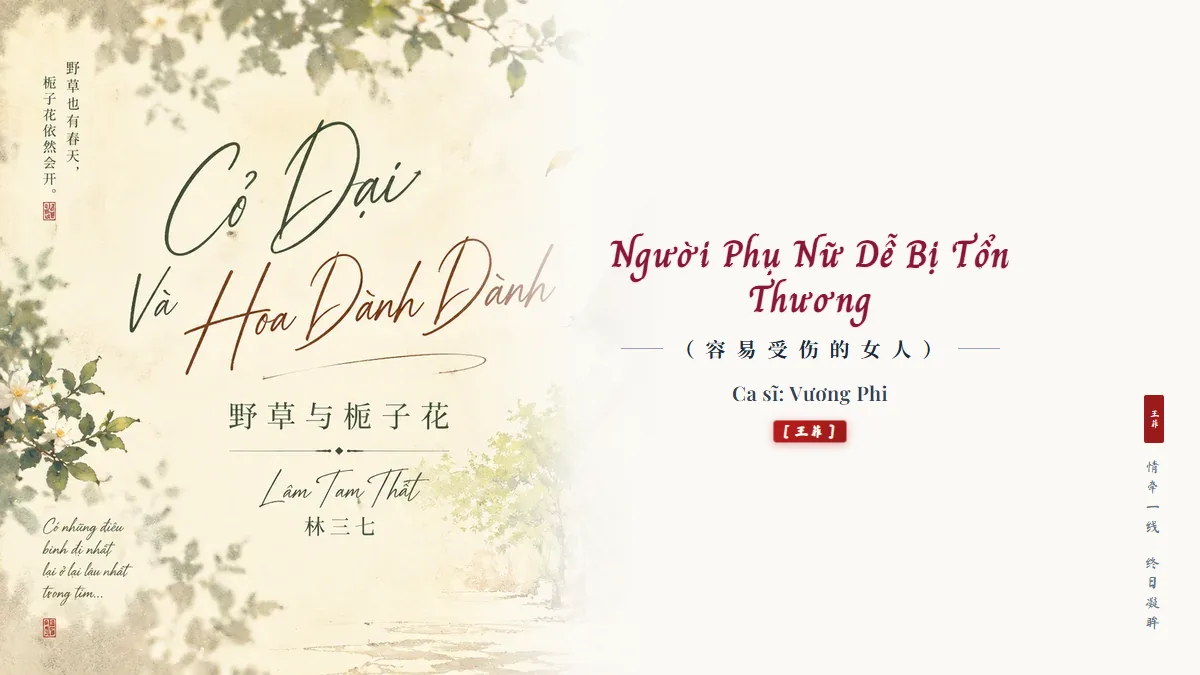Lời Bài Hát Người Phụ Nữ Dễ Bị Tổn Thương (容易受伤的女人) – Vương Phi (Pinyin + Lời Dịch Chuẩn) - FoxHSK