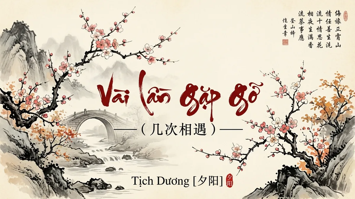Lời Bài Hát Vài Lần Gặp Gỡ (几次相遇) – Tịch Dương / XiYang (Pinyin + Lời Dịch Chuẩn) - FoxHSK