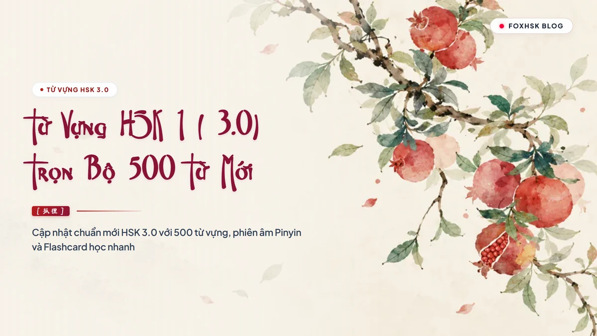 PDF Tổng Hợp Từ Vựng HSK 1 Chuẩn Mới 3.0 Tải Miễn Phí (Đầy Đủ 500 Từ + Flashcard Chuẩn In Ấn) | FoxHSK