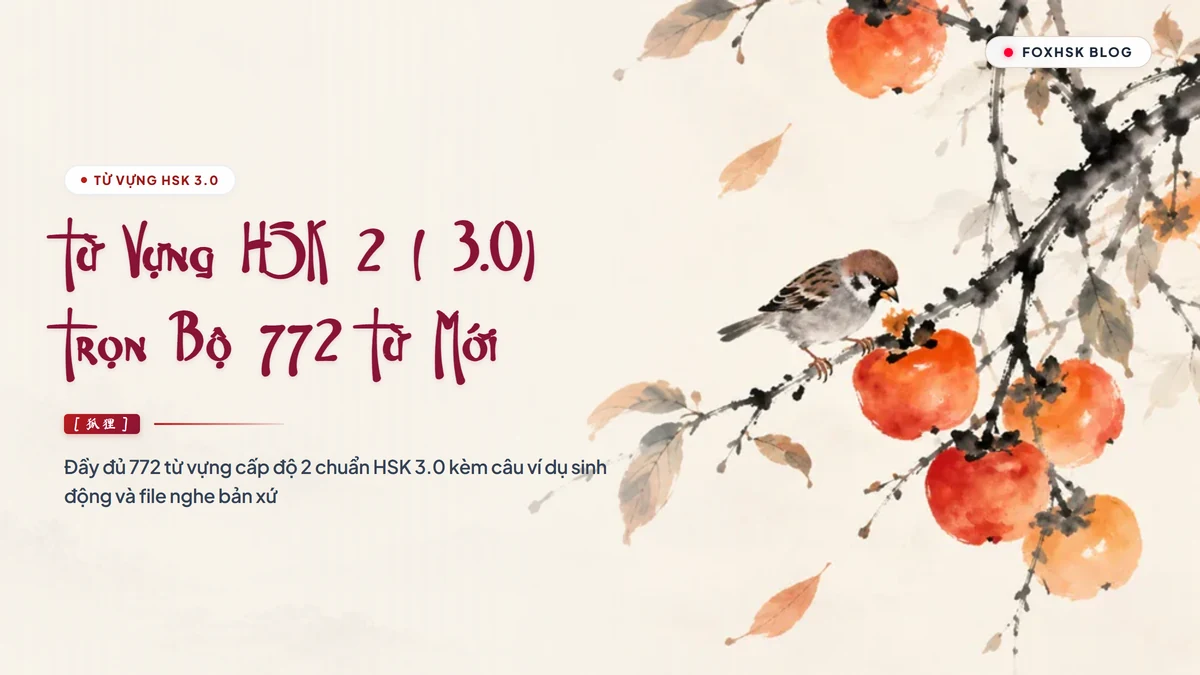 PDF Tổng Hợp Từ Vựng HSK 2 Chuẩn Mới 3.0 Tải Miễn Phí (Đầy Đủ 772 Từ + Flashcard Chuẩn In Ấn) | FoxHSK