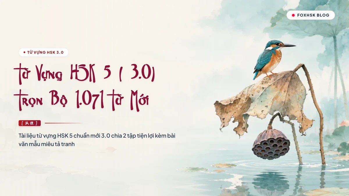 PDF Từ vựng HSK 5 chuẩn mới 3.0 tải miễn phí