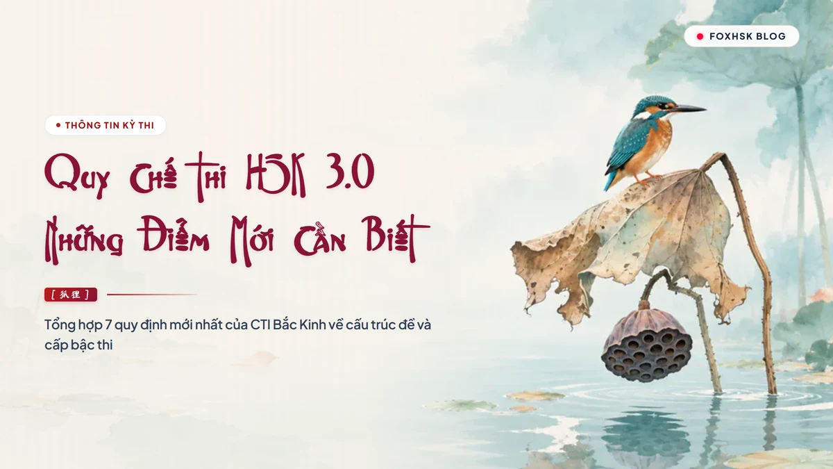 Quy Chế Thi HSK 3.0: Những Điểm Mới Bắt Buộc Phải Nắm Vững | FoxHSK - FoxHSK