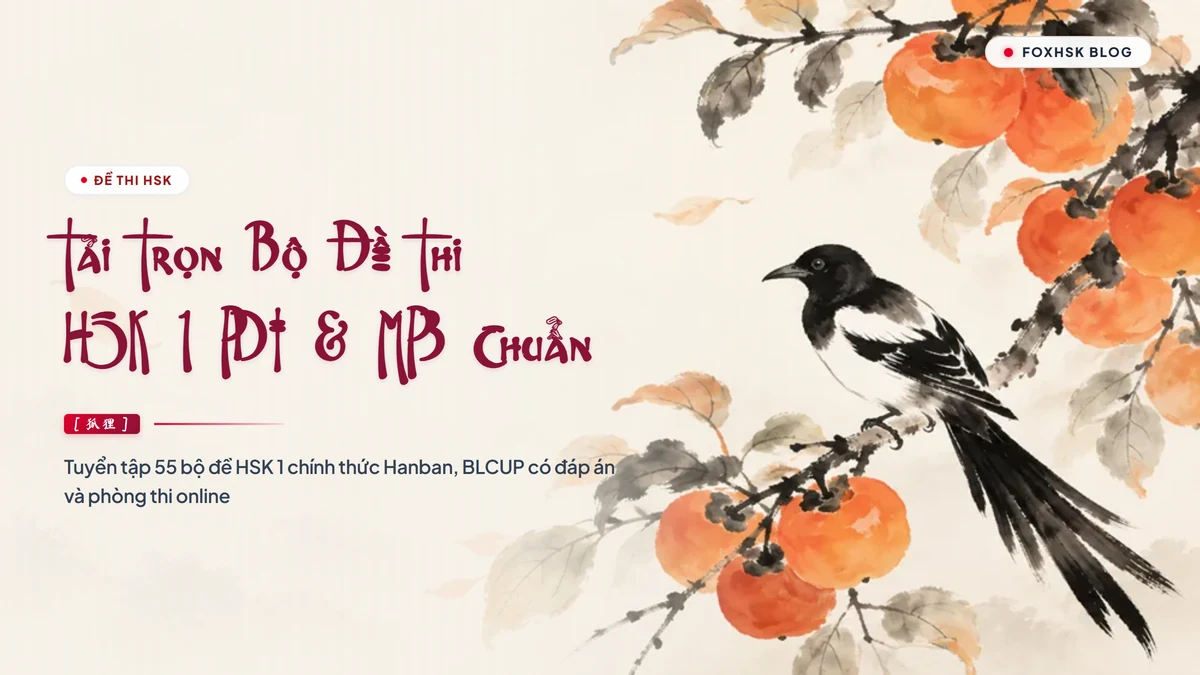 Tải Trọn Bộ Đề Thi HSK 1 PDF Kèm File Nghe MP3 & Đáp Án Chi Tiết | Kho Đề Thi Thử HSK 1 Chuẩn Quốc Tế - FoxHSK