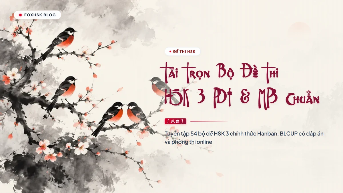 Tải Trọn Bộ Đề Thi HSK 3 PDF Kèm File Nghe MP3 & Đáp Án Chi Tiết | Kho Đề Thi Thử HSK 3 Chuẩn Quốc Tế - FoxHSK