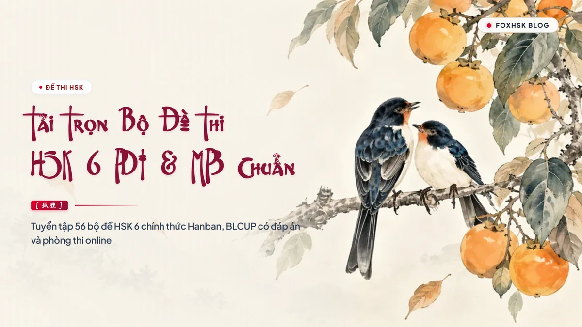 Tải Trọn Bộ Đề Thi HSK 6 PDF Kèm File Nghe MP3 & Đáp Án Chi Tiết | Kho Đề Thi Thử HSK 6 Chuẩn Quốc Tế | FoxHSK