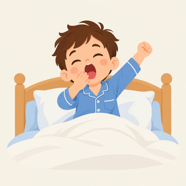Hình ảnh lựa chọn B