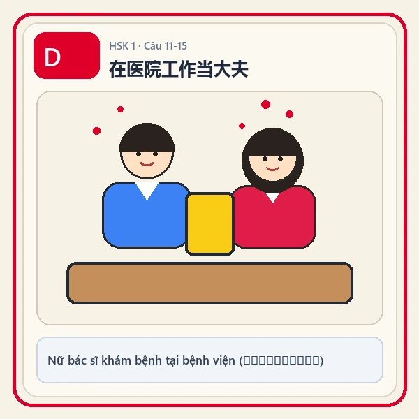 Hình ảnh lựa chọn D