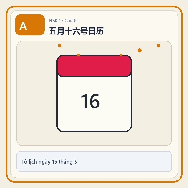 Hình ảnh lựa chọn A