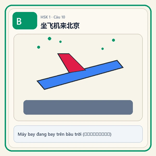 Hình ảnh lựa chọn B