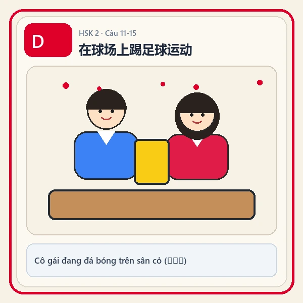 Hình ảnh lựa chọn D