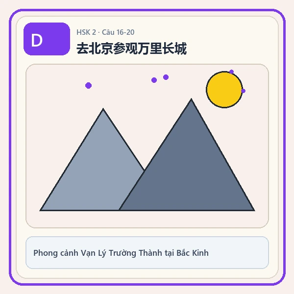 Hình ảnh lựa chọn D