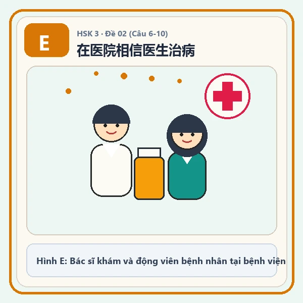 Hình ảnh lựa chọn E