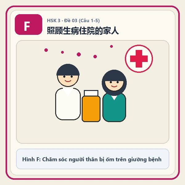 Hình ảnh lựa chọn F