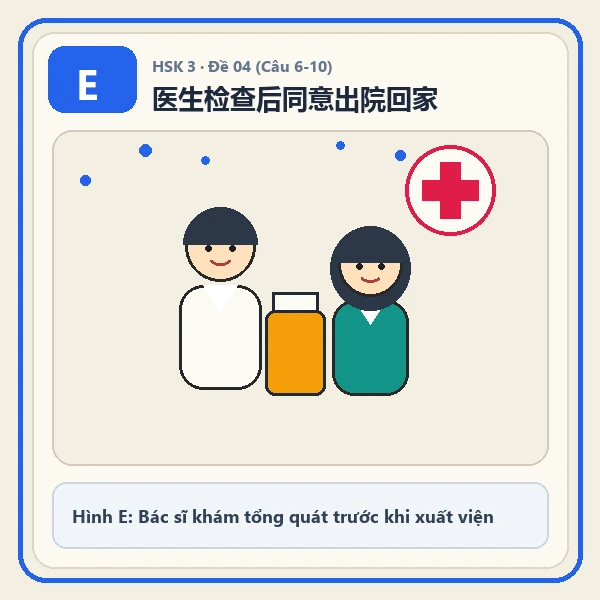 Hình ảnh lựa chọn E