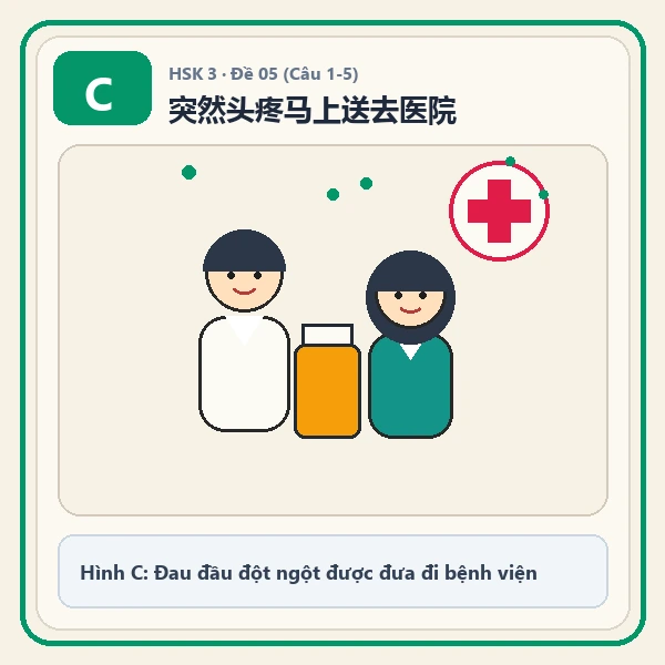 Hình ảnh lựa chọn C