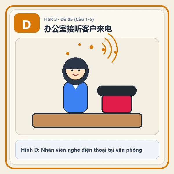 Hình ảnh lựa chọn D