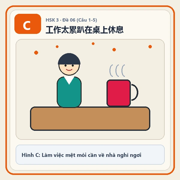 Hình ảnh lựa chọn C