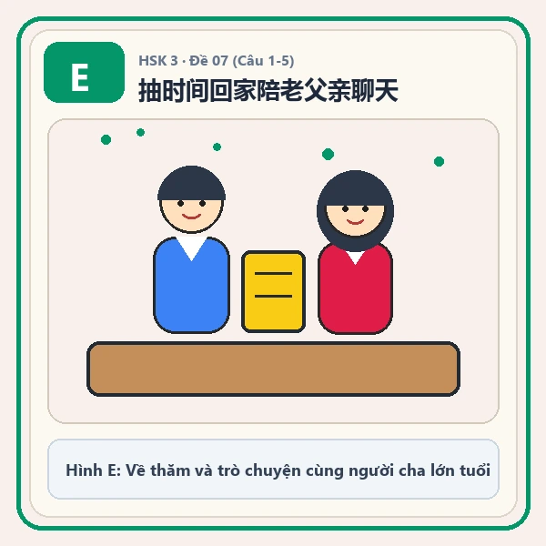 Hình ảnh lựa chọn E