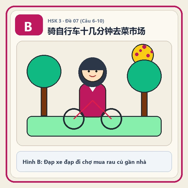 Hình ảnh lựa chọn B