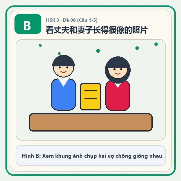 Hình ảnh lựa chọn B